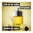 Cacharel Pour Homme Cacharel M  Cacharel Pour Homme Cacharel M