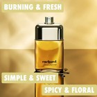 Cacharel Pour Homme Cacharel M  Cacharel Pour Homme Cacharel M