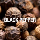 Curve Connect Liz Claiborne M  Curve Connect Liz Claiborne M