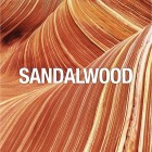 Curve Connect Liz Claiborne M  Curve Connect Liz Claiborne M