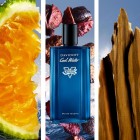 Cool Water Street Fighter Champion Summer Edition For Him Davidoff M Cool Water Street Fighter Champion Summer Edition For Him Davidoff M