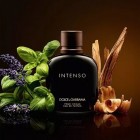 Pour Homme Intenso Dolce And Gabbana M