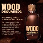 Wood For Him Dsquared2 M