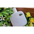 Lacoste L.12.12 White Lacoste M 