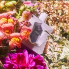 God Is A Woman Ariana Grande W