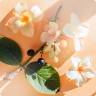 Girl of Now Lovely Elie Saab W