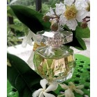 Le Parfum Elie Saab W Le Parfum Elie Saab W