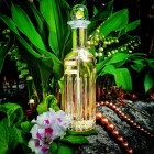 Splendor Elizabeth Arden W