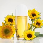 Sunflowers Elizabeth Arden W