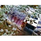 Modern Muse Estee Lauder W