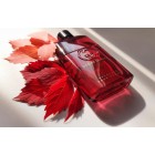 Gucci Guilty Absolute Pour Femme Gucci W Gucci Guilty Absolute Pour Femme Gucci W