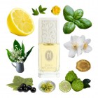 Set Jessica Mcclintock W Set Jessica Mcclintock W