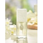 Set Jessica Mcclintock W Set Jessica Mcclintock W