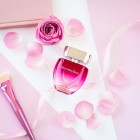 Rose Mercedes Benz W